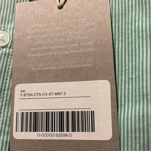 Everlane NWT Long Sleeve Button Down Oversized 100% Cotton Size 2 Striped Mint - Picture 6 of 8